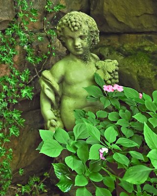 Stone Boy