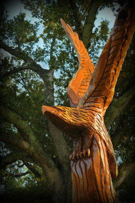 From Katrina's Wrath, Trees Take Flight