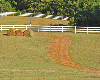 Farm Road