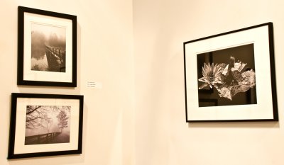 Gallery View 7
