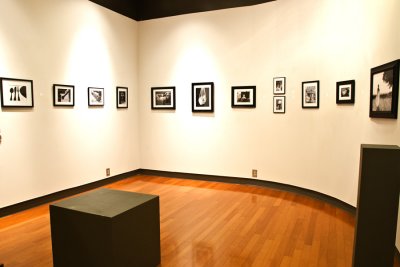 Gallery View 15