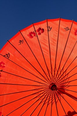 Silk Umbrella Against a Blue Sky