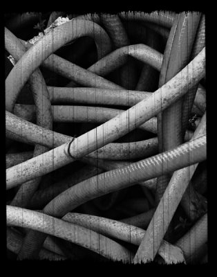 Entangled Refuse