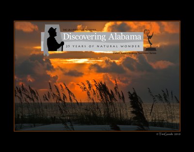 Discovering Alabama's Emmy Winning Logo