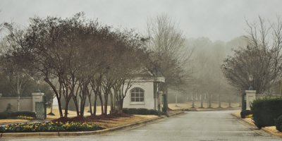 January 25 - Foggy Wynlakes
