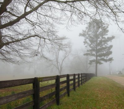 Misty Daze