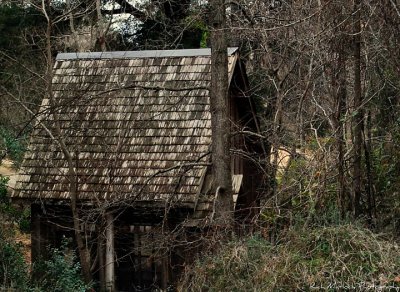 February 5 - Cabin