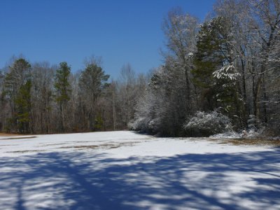 Snow in Alabama