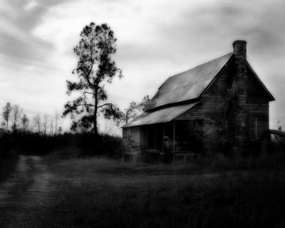 The Old Homeplace