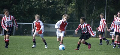 DSC_6317-p-p.jpg