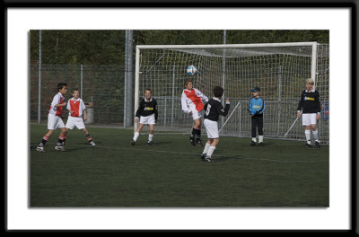 DSC_6603-wfs.jpg