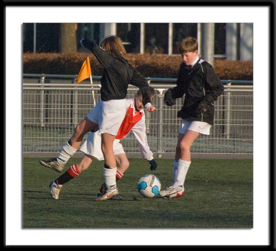 DSC_9047-wfs.jpg