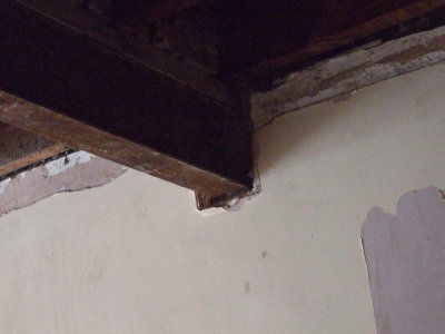 DSCF0893.JPG