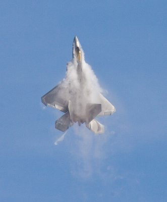 F-22 Raptor