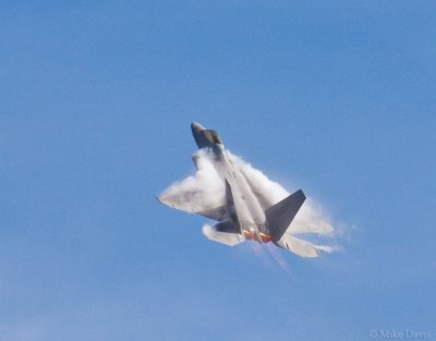 F-22 Raptor