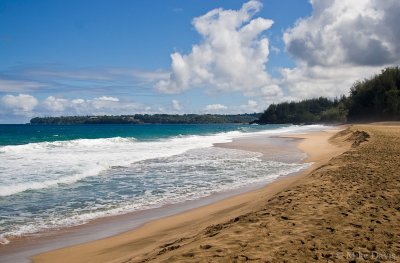 Lumaha'i Beach