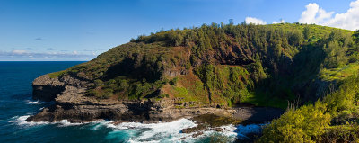 Kilauea Point Pan