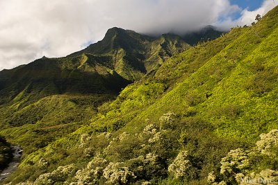 Olokele Valley