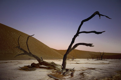 Deadvlei valley