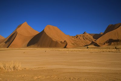 Sossusvleï Dunes