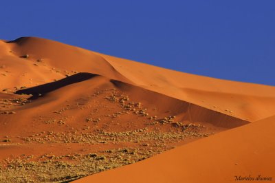 Namibrand wonderful Dunes