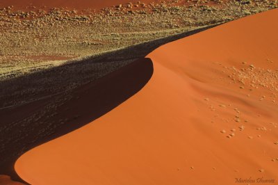 Sinusoïde Dune