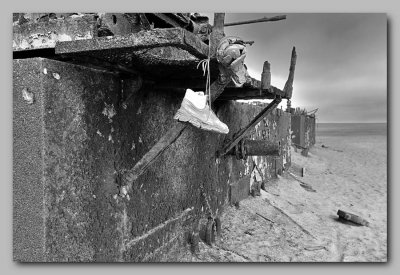 Abandoned forage factory