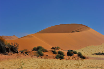 Dunes with climbers and wind