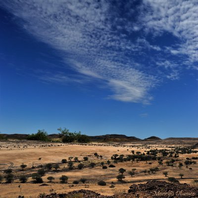 Namib landscape