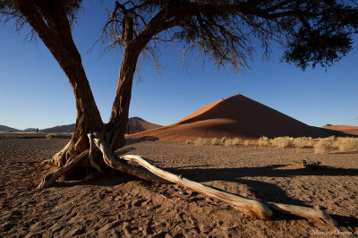 Dunes