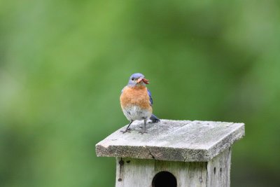 IMG_5208.JPG