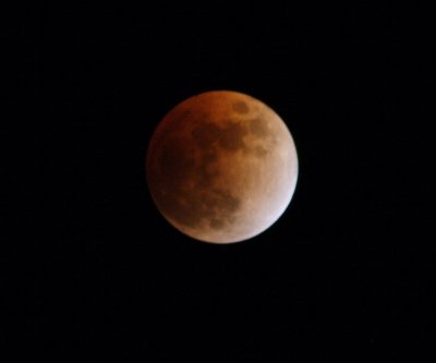 IMG_9305a.JPG