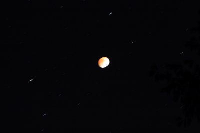 IMG_9314.JPG