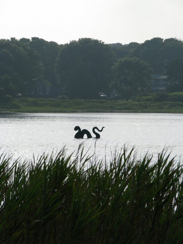 lochness?.jpg