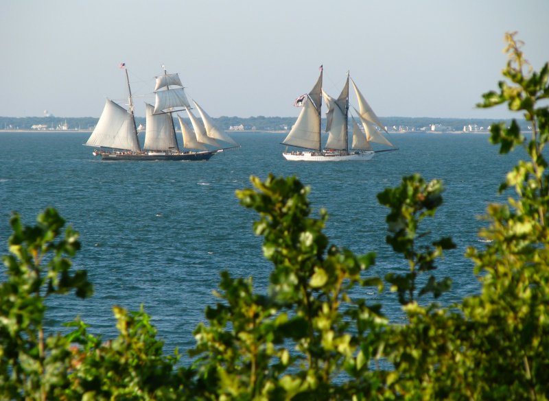 Shenendoah and Alabama.jpg