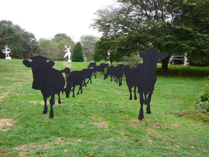 Herd.jpg