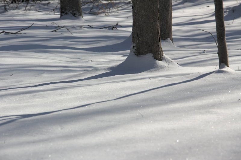 White Lawn.jpg