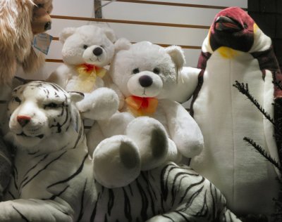 Leopards Penguins and Bears.Oh my.jpg