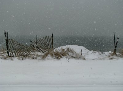 Snow Fence.jpg