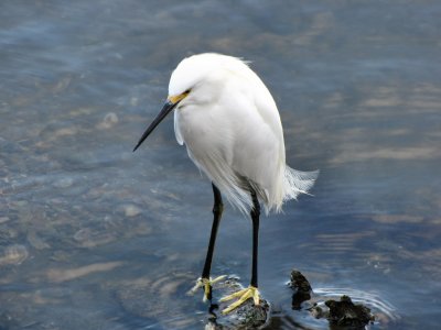 Florida Pic.jpg