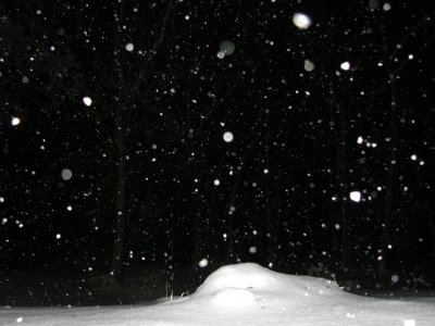 snowy night.jpg