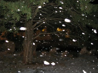 Snow Showers.jpg