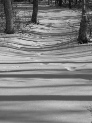 Striped Path.jpg