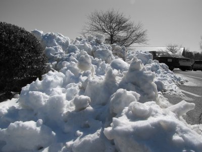 Avalanche Parking Only.jpg