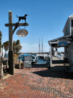 Black Dog Tavern.jpg