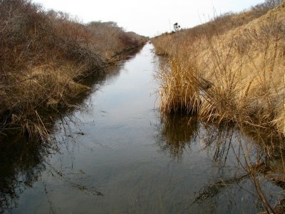 Herring Creek Edgartown.jpg