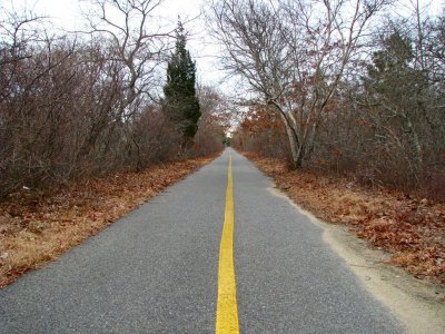 Bike Path with a LINE.jpg