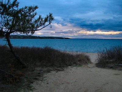Looking Toward West Chop.jpg