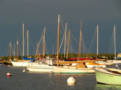 masts.jpg