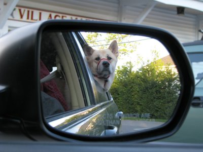 Suki Appears Closer in Mirror.jpg